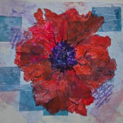 image of Red Poppy